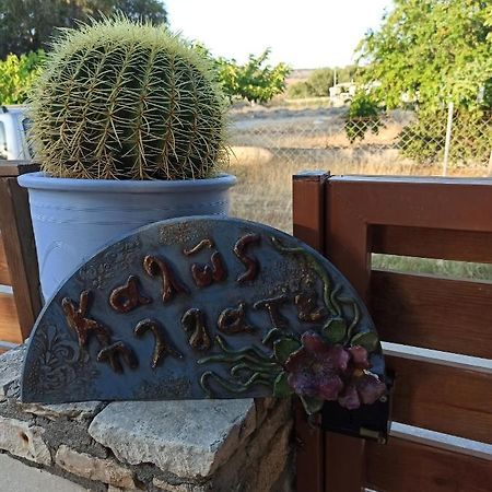 Cactus Home Kalamaki  Eksteriør bilde