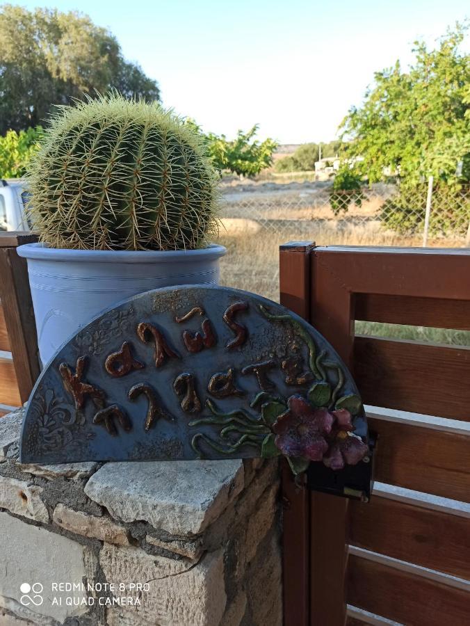 Cactus Home Kalamaki  Eksteriør bilde
