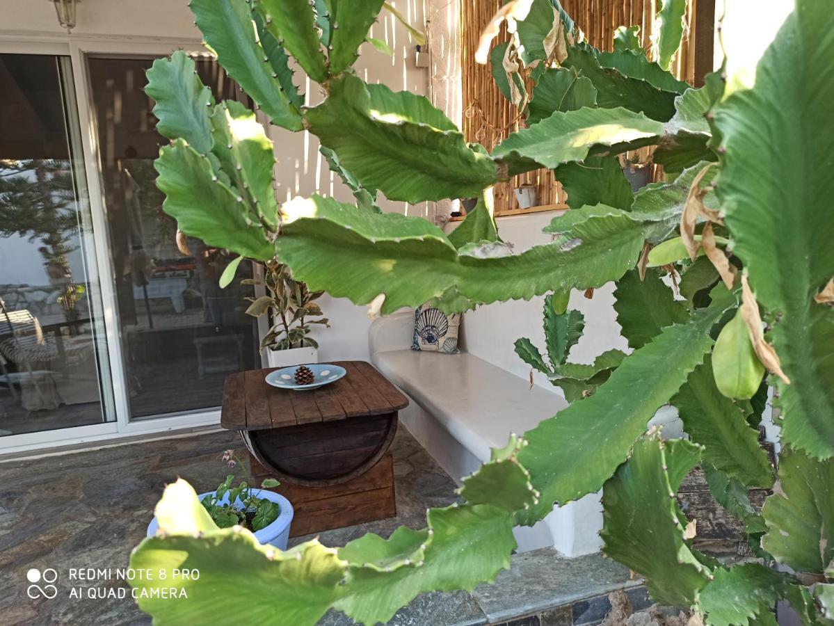 Cactus Home Kalamaki  Eksteriør bilde