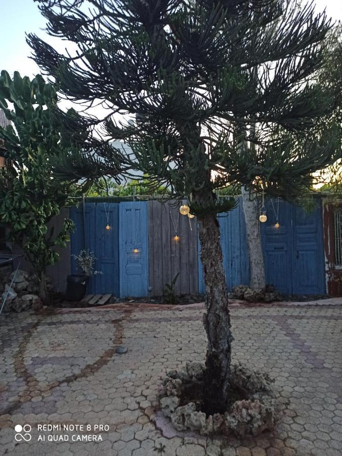 Cactus Home Kalamaki  Eksteriør bilde